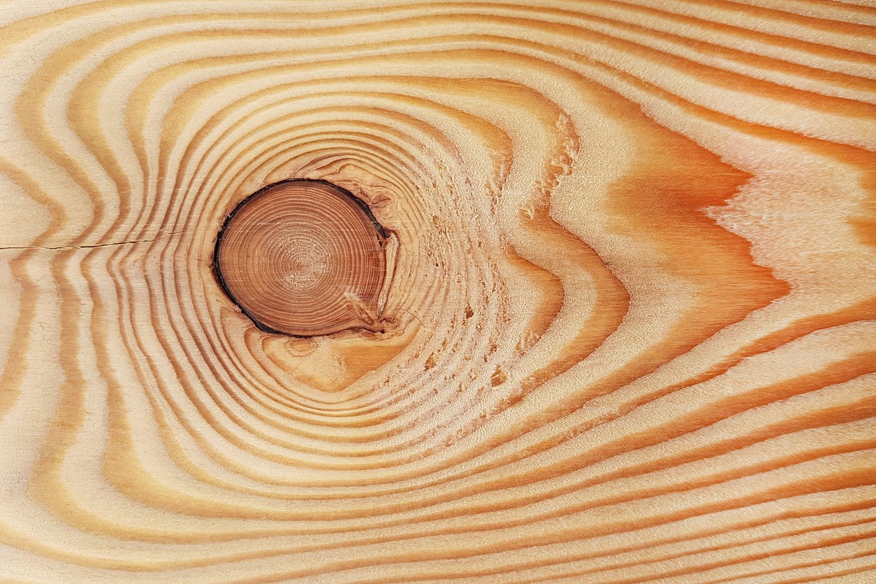 Texture of a wooden board with a knot, close-up. Nature background. Repair, design concept