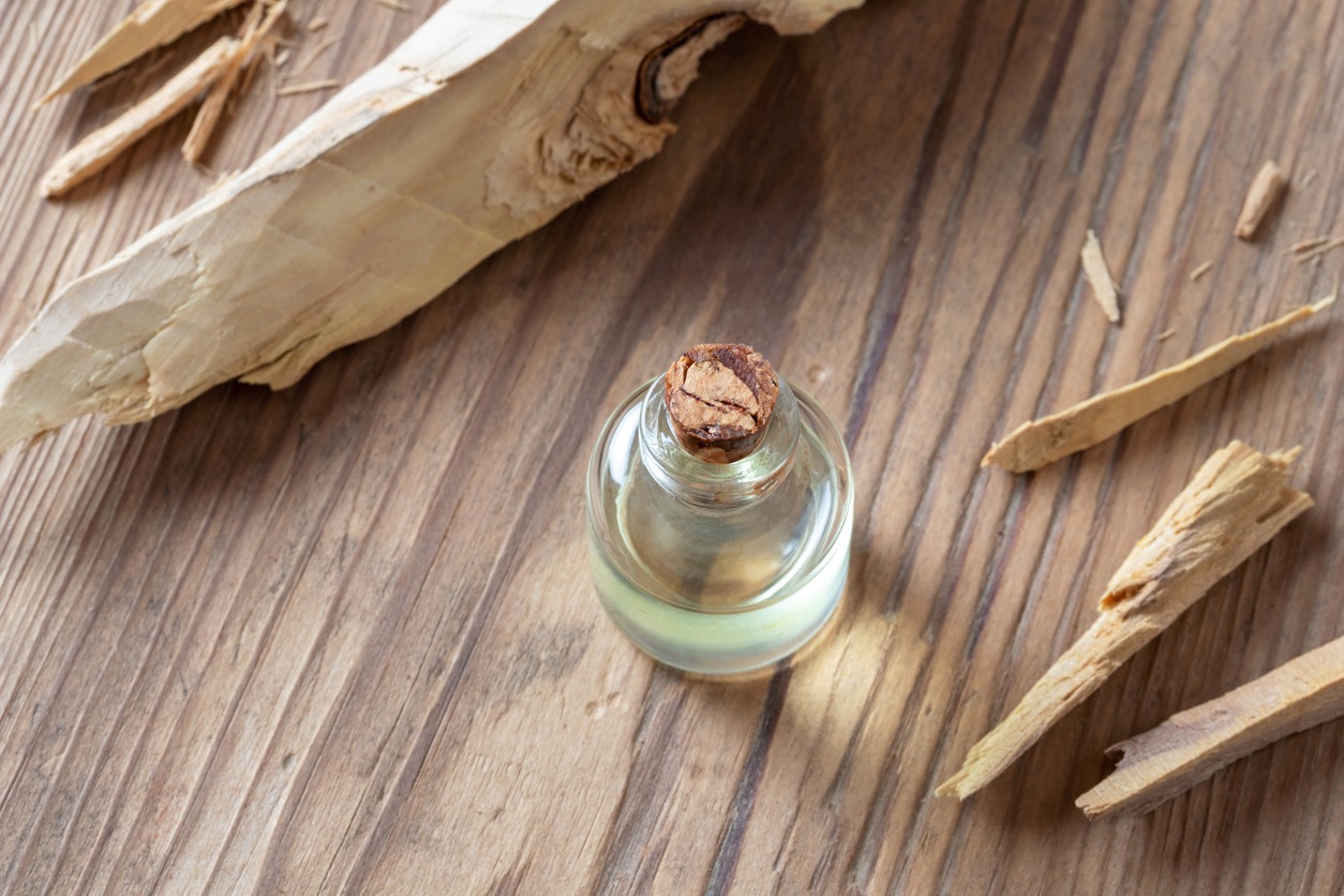 A bottle of sandalwood essential oil with pieces of white sandalwood
