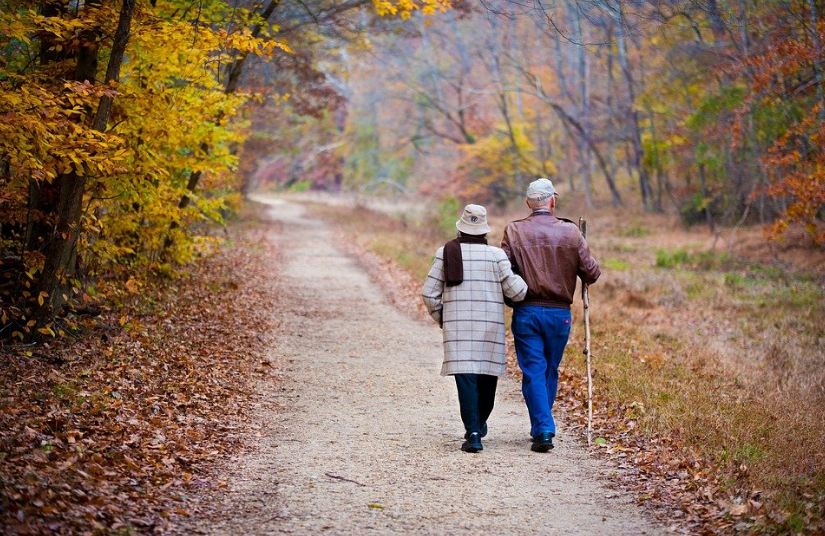 an elderly couple walking through the forest, trail, trees, fallen leaves