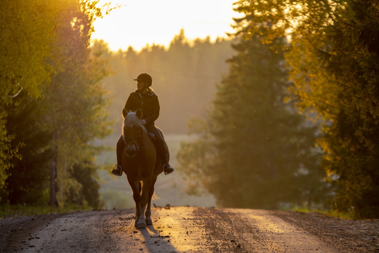 horseback riding, country road