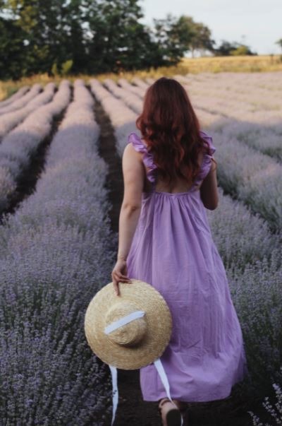 the back view of a woman in a purple dress holding a hat walking in a lavender field