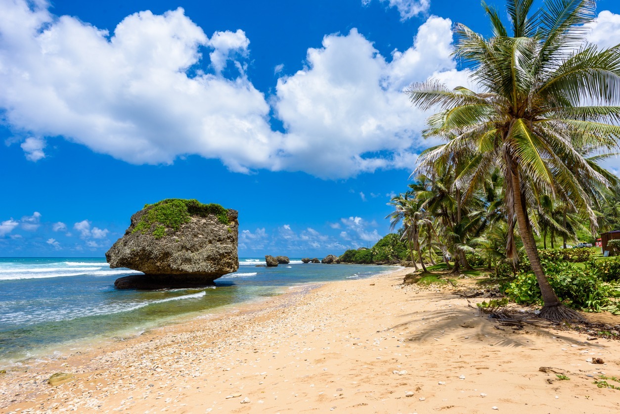 Rock formation on the beach of Bathsheba, East coast of  island Barbados, Caribbean Islands