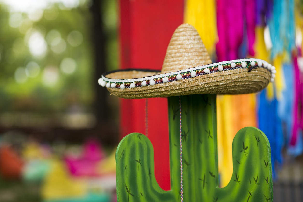 a cactus wearing a sombrero hat and party ribbons in the background
