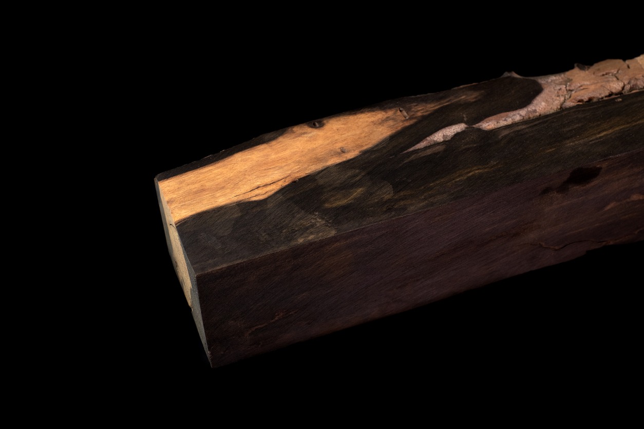  log of ebony wood
