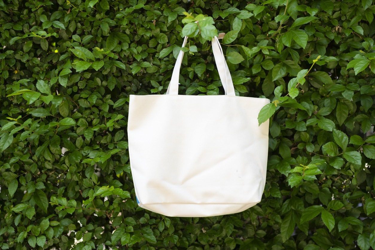 Canvas fabric bag hanging on the background tree wall