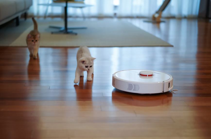 A-cat-following-a-robot-vacuum