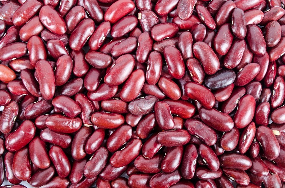 A-pile-of-kidney-beans